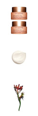 Clarins - Extra Firming Night Cream - For Dry Skin